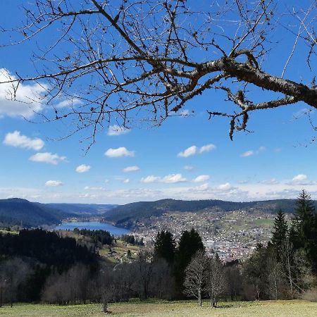 Studio Des Gouttridos Apartment Gerardmer Ngoại thất bức ảnh