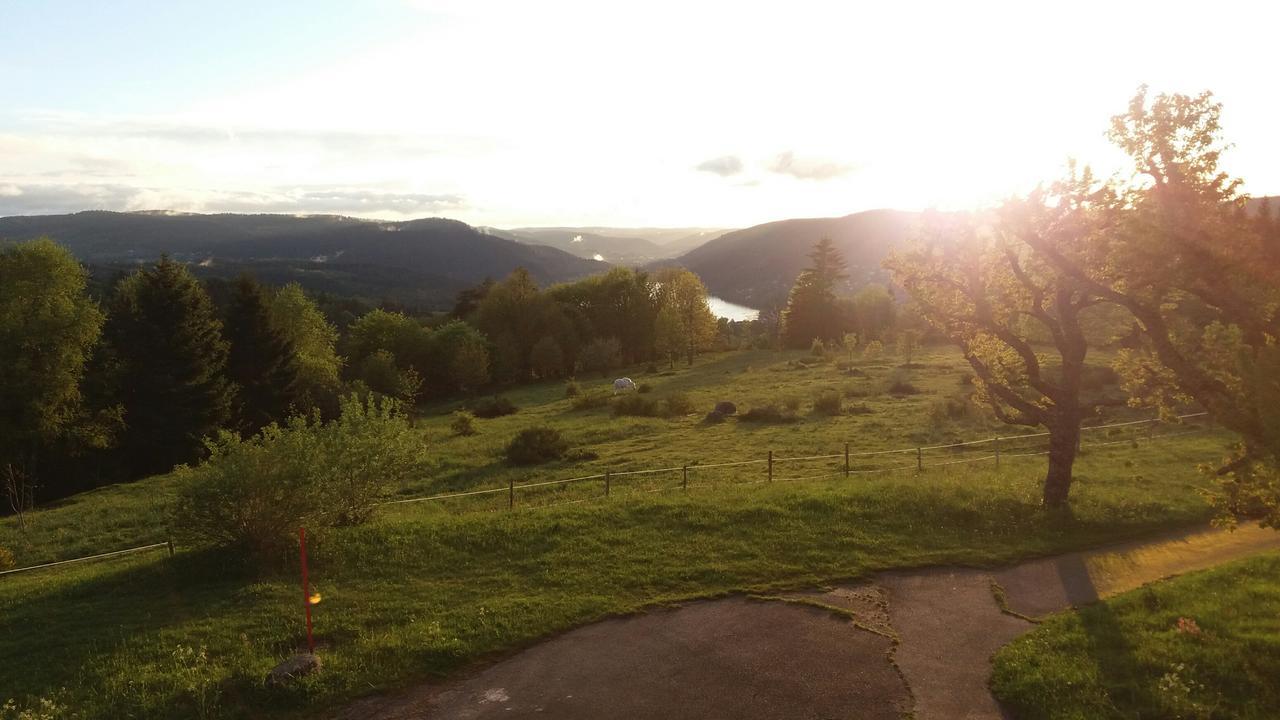 Studio Des Gouttridos Apartment Gerardmer Ngoại thất bức ảnh
