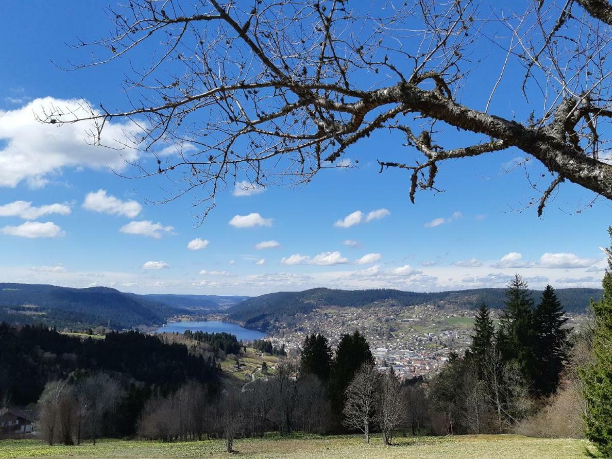 Studio Des Gouttridos Apartment Gerardmer Ngoại thất bức ảnh